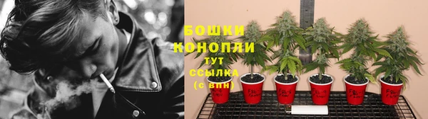 герыч Вяземский