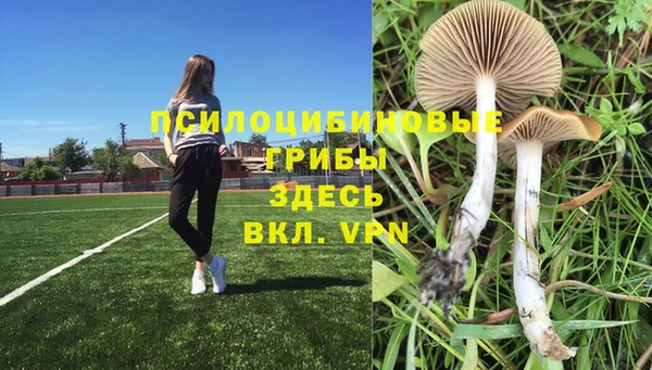 герыч Вяземский